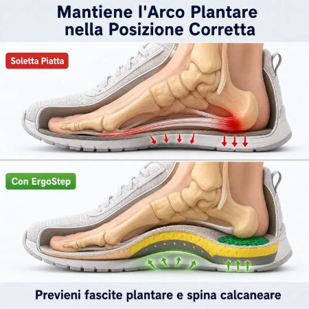 ErgoStep™ Pro – Plantare Ergonomico a Triplo Supporto
